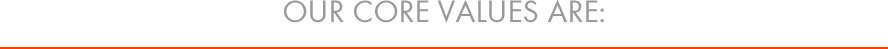 company values